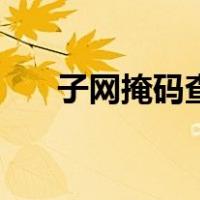 子网掩码查询对照表（子网掩码查询）