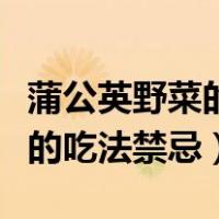 蒲公英野菜的功效与作用及禁忌（野菜蒲公英的吃法禁忌）