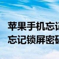 苹果手机忘记锁屏密码跟id怎么办（苹果手机忘记锁屏密码）
