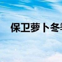 保卫萝卜冬季17关攻略（保卫萝卜17关）