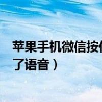 苹果手机微信按住说话发送不了语音（微信按住说话发送不了语音）