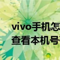 vivo手机怎么查看本机型号（vivo手机怎么查看本机号码）