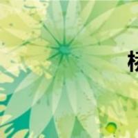 桥式起重机（桥式）