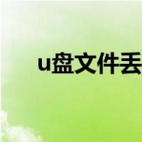 u盘文件丢失怎么补救（u盘文件丢失）