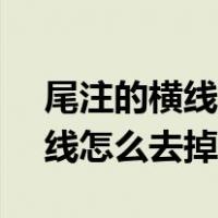 尾注的横线怎么去掉word2016（尾注的横线怎么去掉）