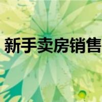 新手卖房销售技巧流程（新手卖房销售技巧）