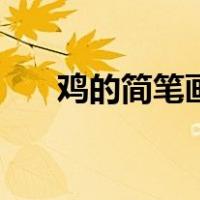 鸡的简笔画步骤图（鸡的简笔画步骤）