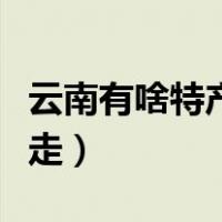 云南有啥特产能带走的（云南特产小吃方便带走）