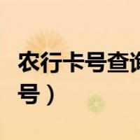 农行卡号查询身份证号码（身份证查询农行卡号）