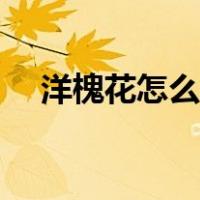 洋槐花怎么保存更久（洋槐花怎么保存）