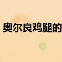 奥尔良鸡腿的做法步骤（奥尔良鸡腿的做法）