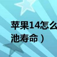 苹果14怎么看电池寿命（苹果手机怎么看电池寿命）