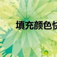 填充颜色快捷键ps（填充颜色快捷键）