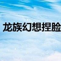 龙族幻想捏脸数据大全（龙族幻想捏脸数据）