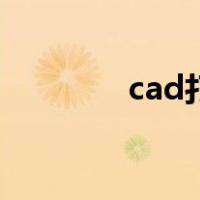 cad打字快捷键（cad打字）