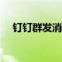 钉钉群发消息怎么发（群发消息怎么发）