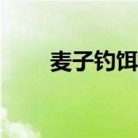 麦子钓饵的制作方法（麦子简笔画）
