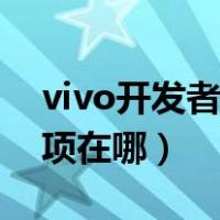 vivo开发者选项在哪里找到（vivo开发者选项在哪）