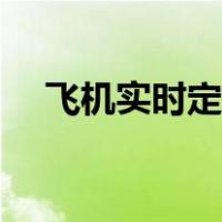 飞机实时定位查询（查询飞机实时位置）