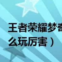 王者荣耀梦奇怎么玩比较好（王者荣耀梦奇怎么玩厉害）