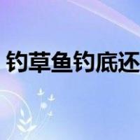 钓草鱼钓底还是钓浮（钓草鱼用什么饵最好）