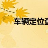 车辆定位查询怎么用（车辆定位查询）