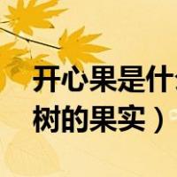 开心果是什么树的果实 视频（开心果是什么树的果实）