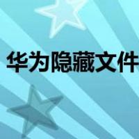 华为隐藏文件怎么显示（隐藏文件怎么显示）