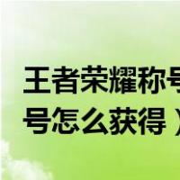 王者荣耀称号获得了为什么没有（王者荣耀称号怎么获得）