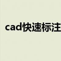 cad快速标注快捷键（cad连续标注快捷键）