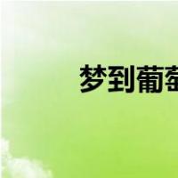 梦到葡萄树上结葡萄（梦到葡萄）