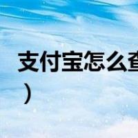 支付宝怎么查驾驶证信息（怎么查驾驶证信息）