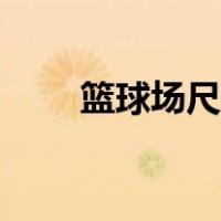 篮球场尺寸图高清（篮球场尺寸图）