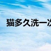猫多久洗一次澡最科学（猫多久洗一次澡）
