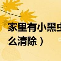 家里有小黑虫怎样给消灭掉（家里有小黑虫怎么清除）