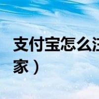 支付宝怎么注册商家服务（支付宝怎么注册商家）
