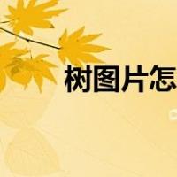 树图片怎么弄好看（树图片简笔画）