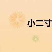 小二寸尺寸比例（小二寸尺寸）