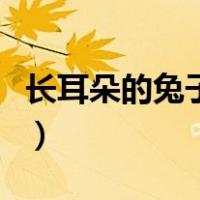 长耳朵的兔子玩具叫什么名字（长耳朵的兔子）