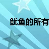 鱿鱼的所有做法（鱿鱼做法大全家常菜）