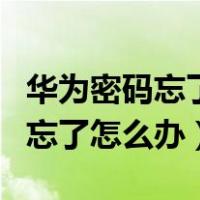 华为密码忘了怎么办恢复出厂设置（华为密码忘了怎么办）