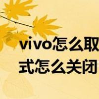 vivo怎么取消安全模式怎么弄（vivo安全模式怎么关闭）