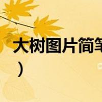 大树图片简笔画手绘图（大树图片简笔画手绘）