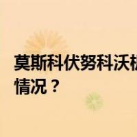 莫斯科伏努科沃机场已恢复运营，此前曾一度关闭 这是什么情况？