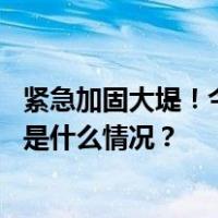 紧急加固大堤！今晚，松花江干流哈尔滨站或将出现洪峰 这是什么情况？