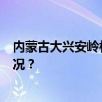 内蒙古大兴安岭林区北部林火仍有2起正在扑救 这是什么情况？