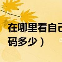 在哪里看自己的手机号码（怎么查自己手机号码多少）