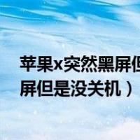 苹果x突然黑屏但没有关机过一段时间又亮了（iphonex黑屏但是没关机）