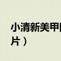 小清新美甲图片2023新款式（小清新美甲图片）