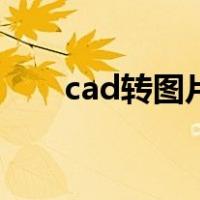 cad转图片怎么变白底（cad转图片）